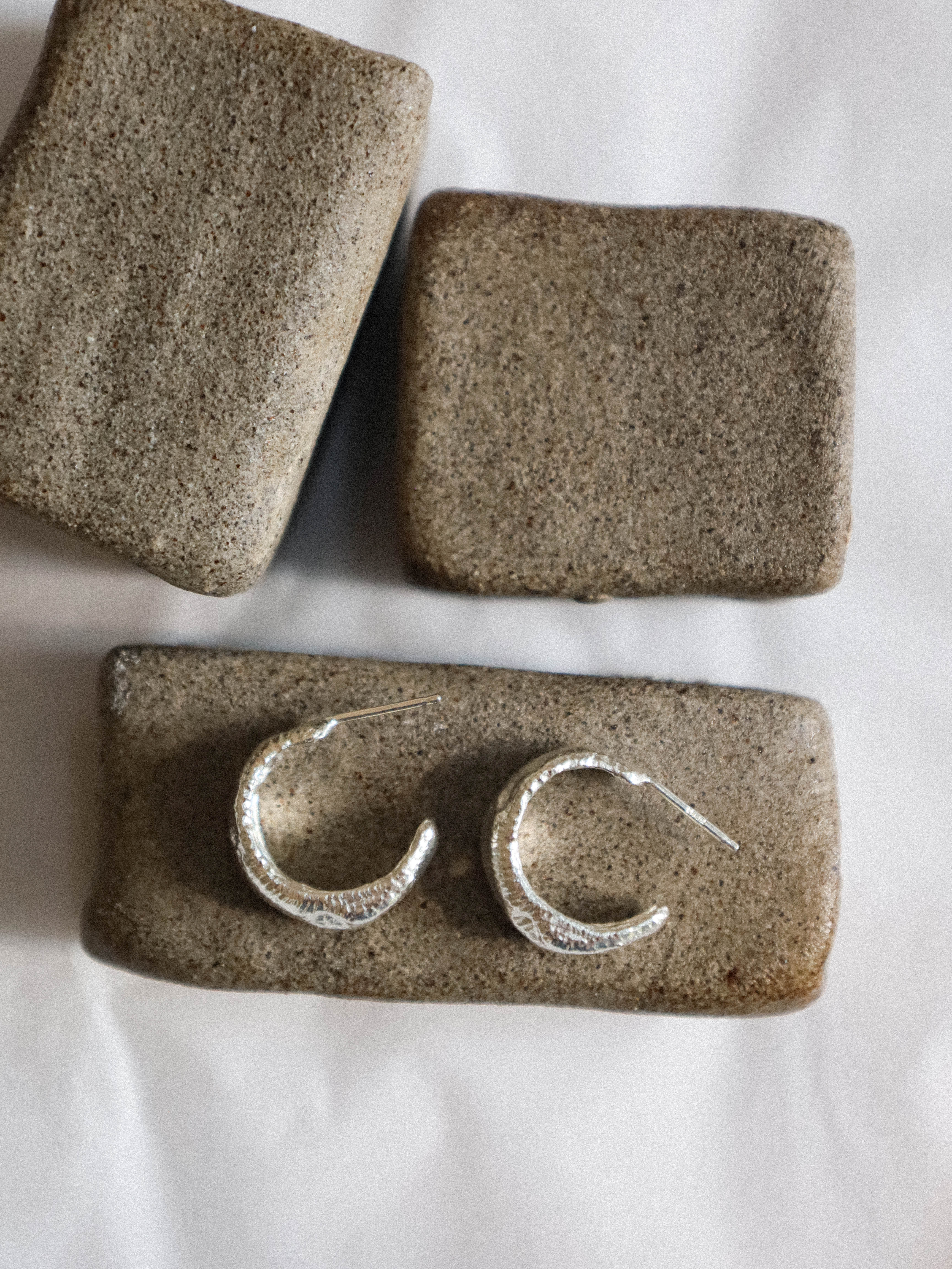 Ray Earrings Silver