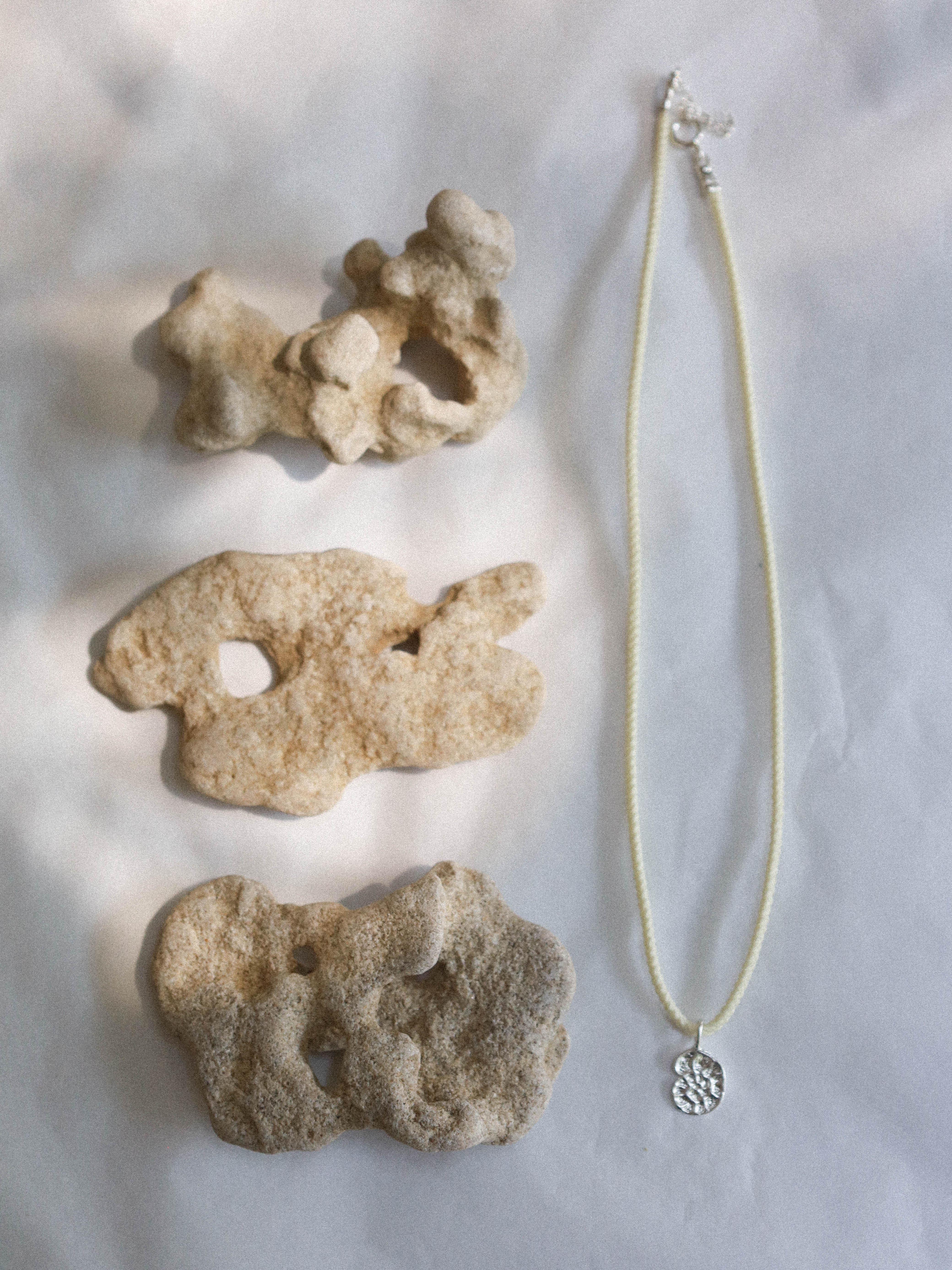 Fossil Necklace Silver | LIMITED