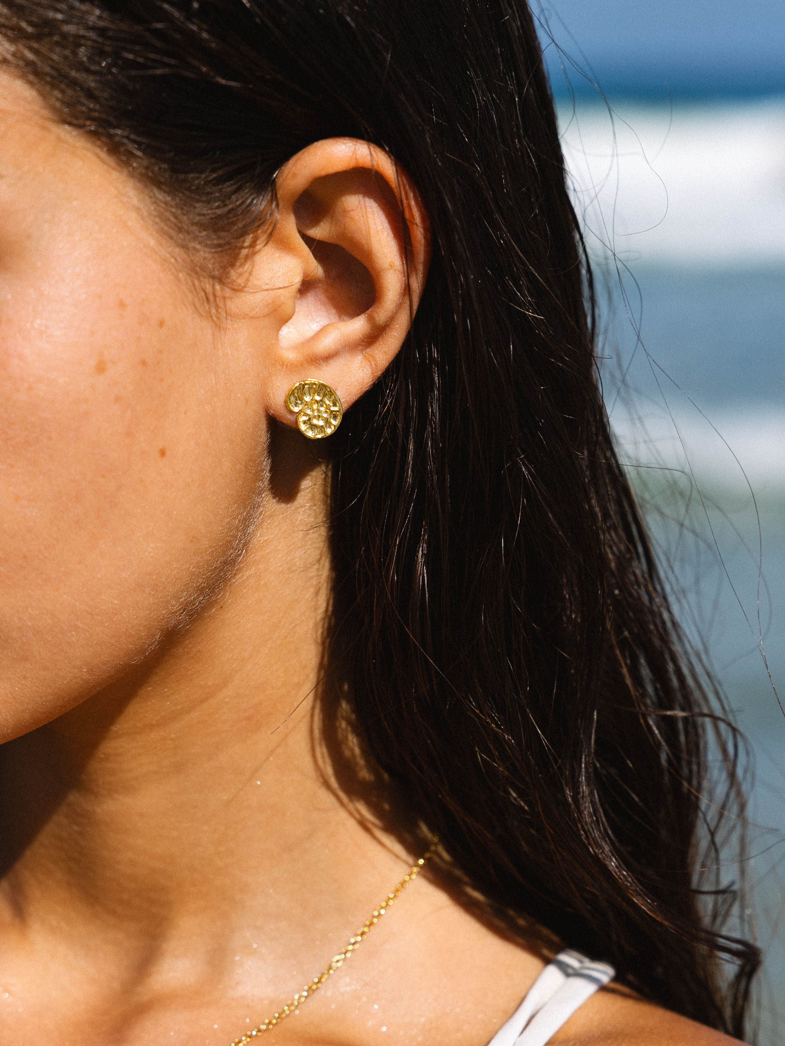 Fossil Studs Gold
