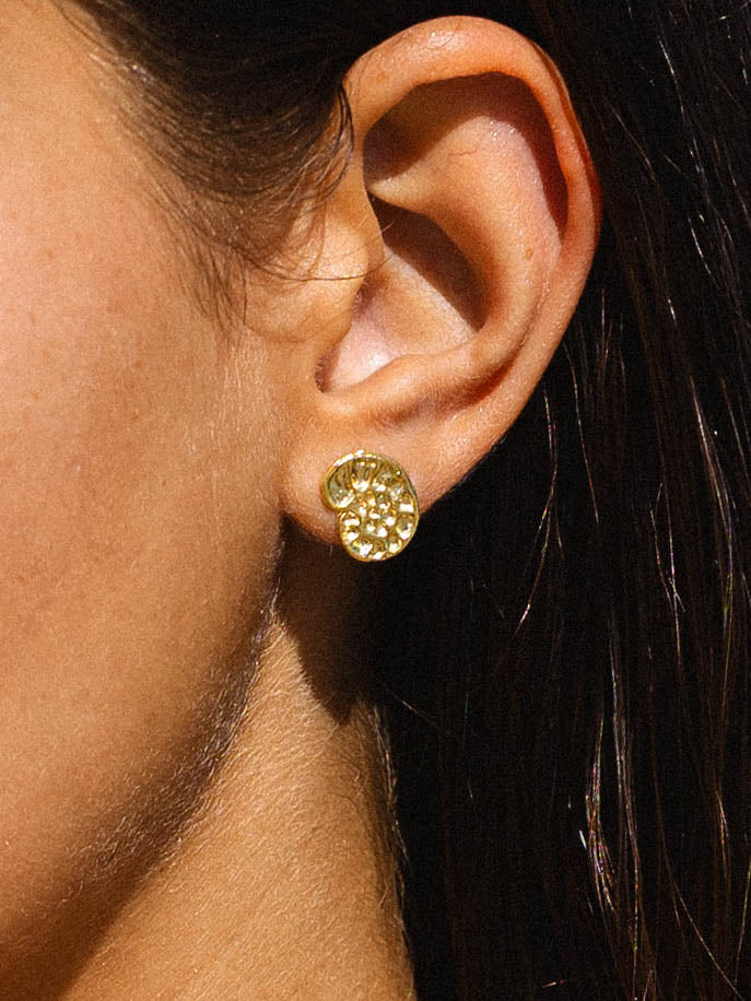 Fossil Studs Gold
