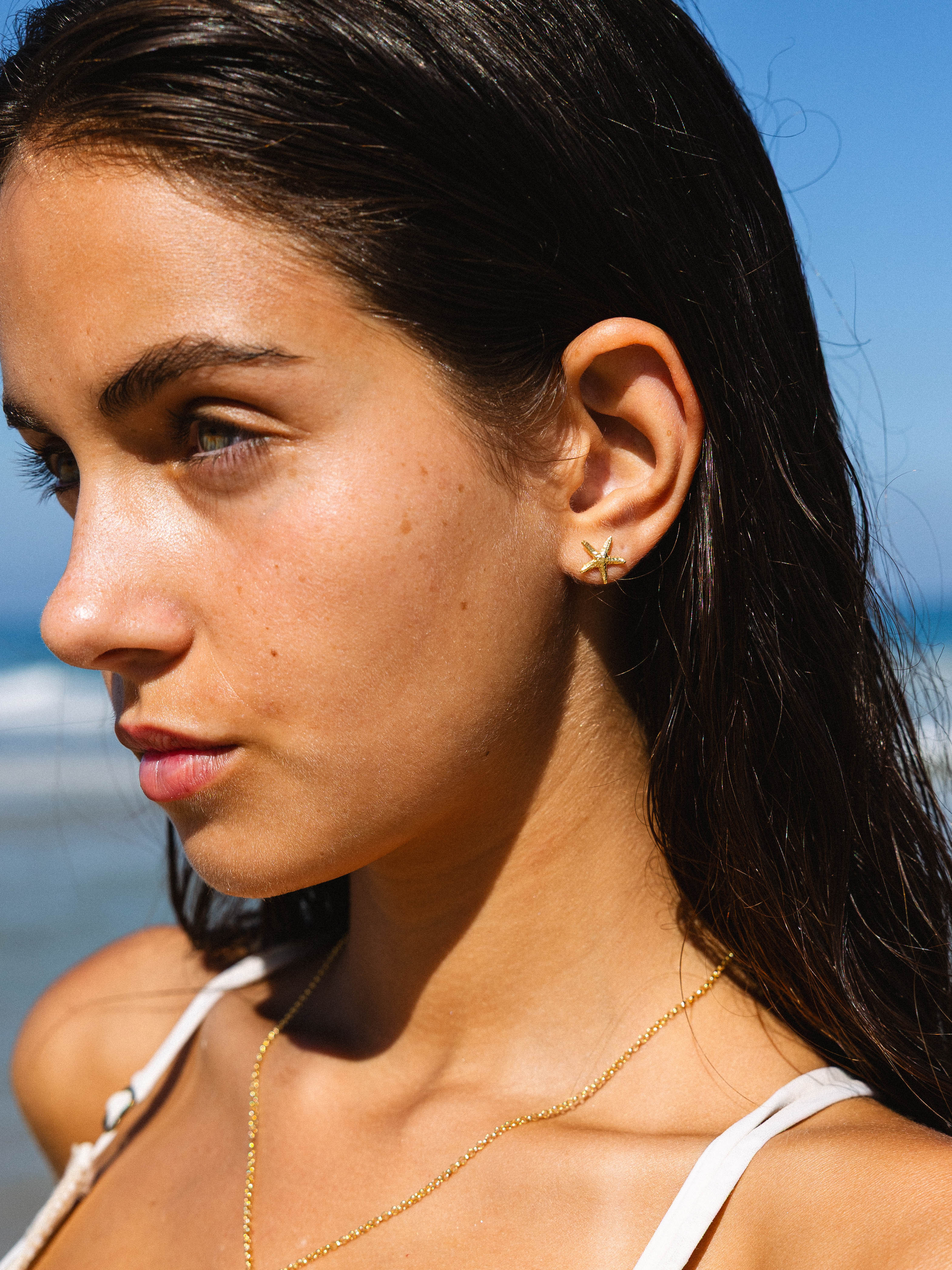 Starfish Studs 14K Gold