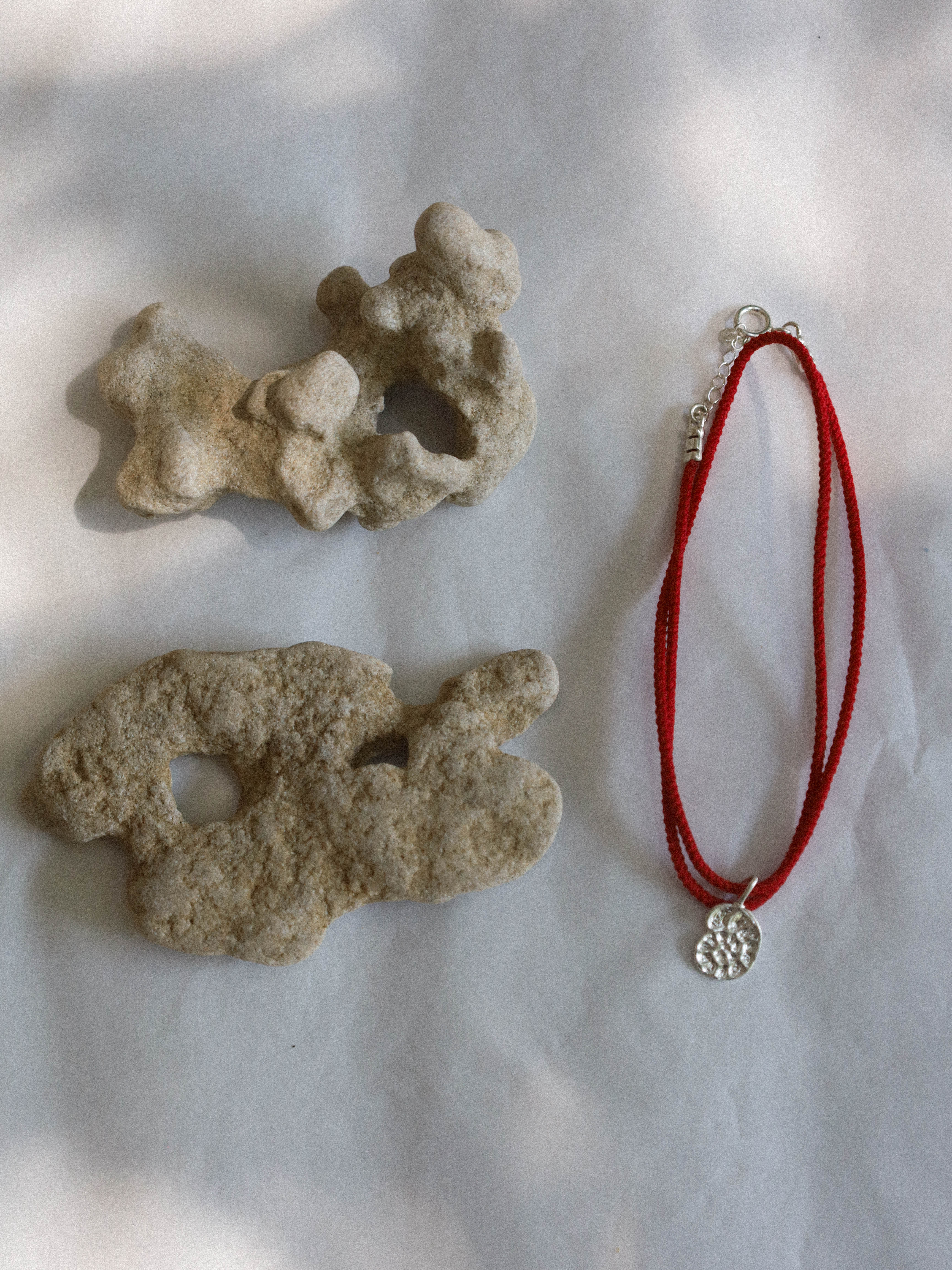 Fossil Necklace Silver | LIMITED