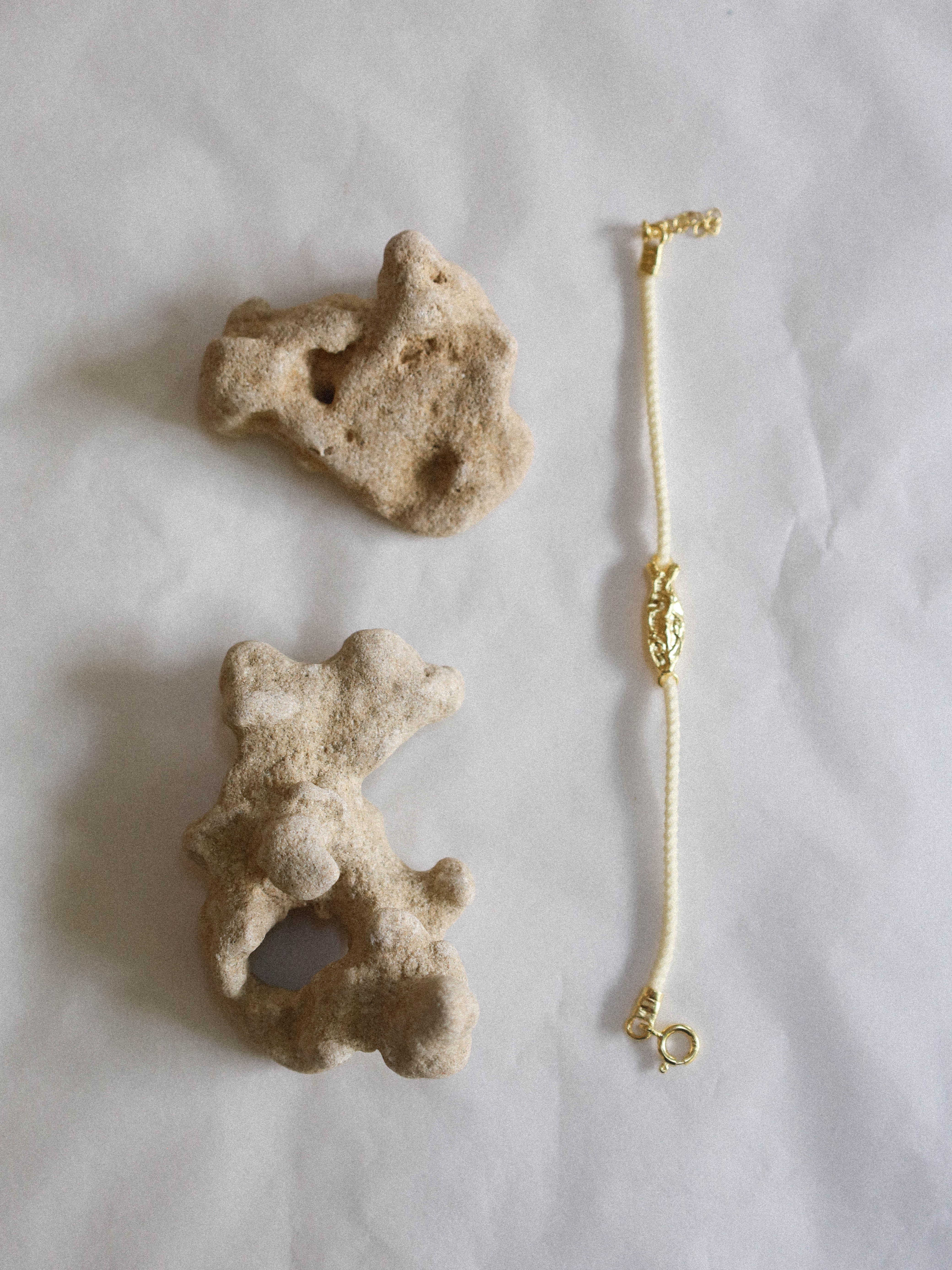 Fish Bracelet Gold | LIMITED