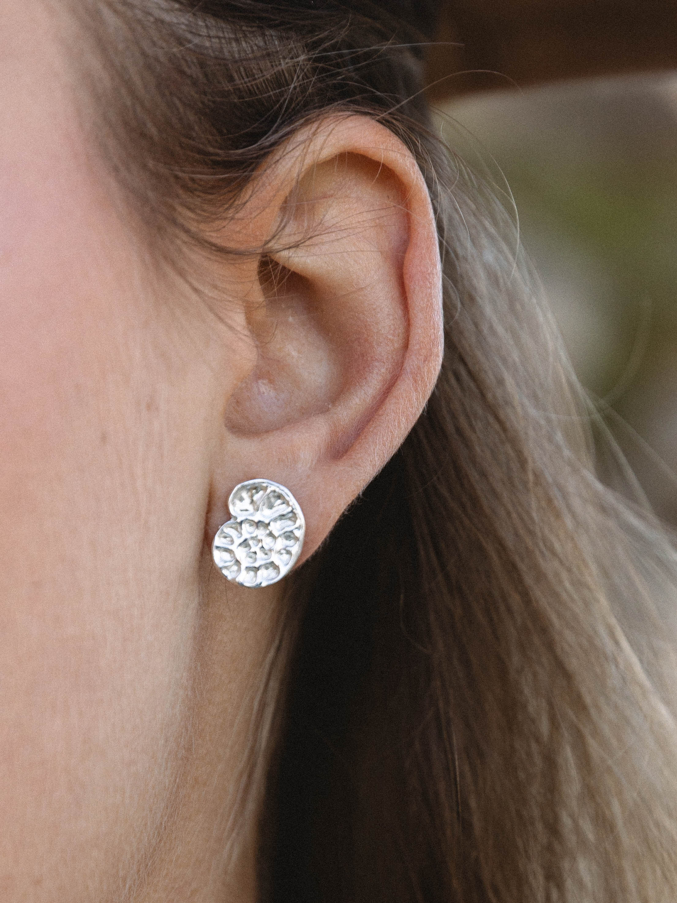 Fossil Studs Silver